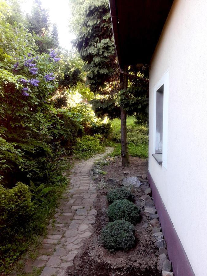 Vila Krakowhouse Libertów Exteriér fotografie